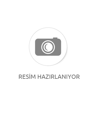 100 TL